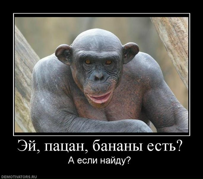 №109, Михаил Кан, Ивантеевка №109, Михаил Кан, Ивантеевка