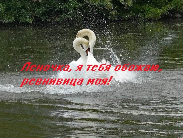 Роберт Стоцкий | 