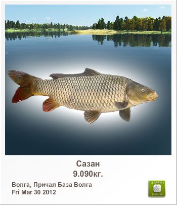 Вадим Лобачев | Раменское