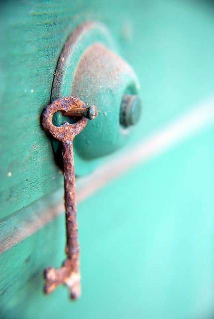 Ксения Шелюк | Bratislava