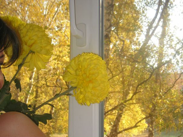 №71, Оля Землянова, Полтава №71, Оля Землянова, Полтава