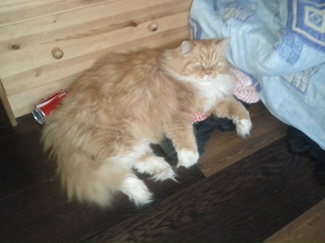 Ilya Smurov | Санкт-Петербург