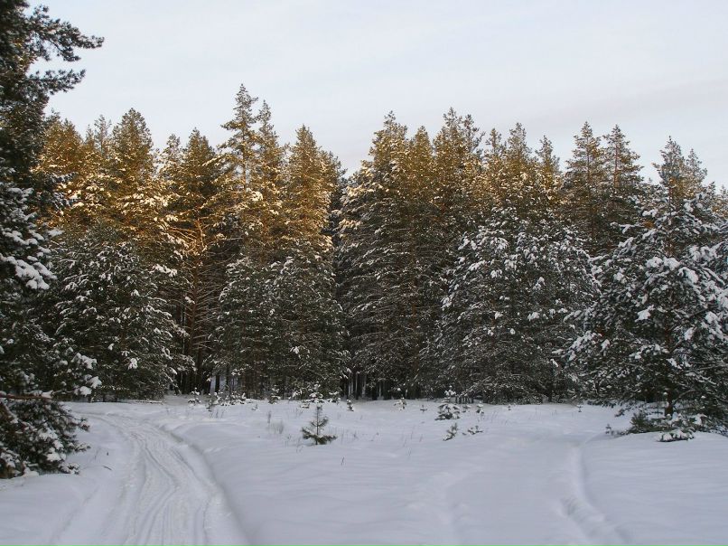 Алексей Друзин | Алатырь