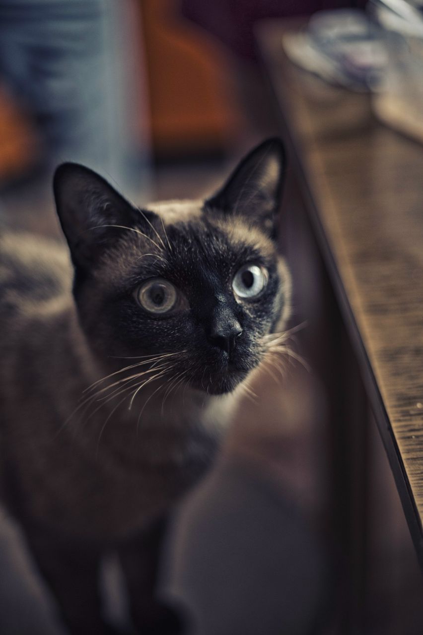 Роман Солодов | Комсомольск-на-Амуре