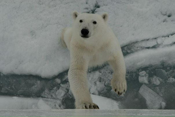 №3, Вячеслав Милхен №3, Вячеслав Милхен