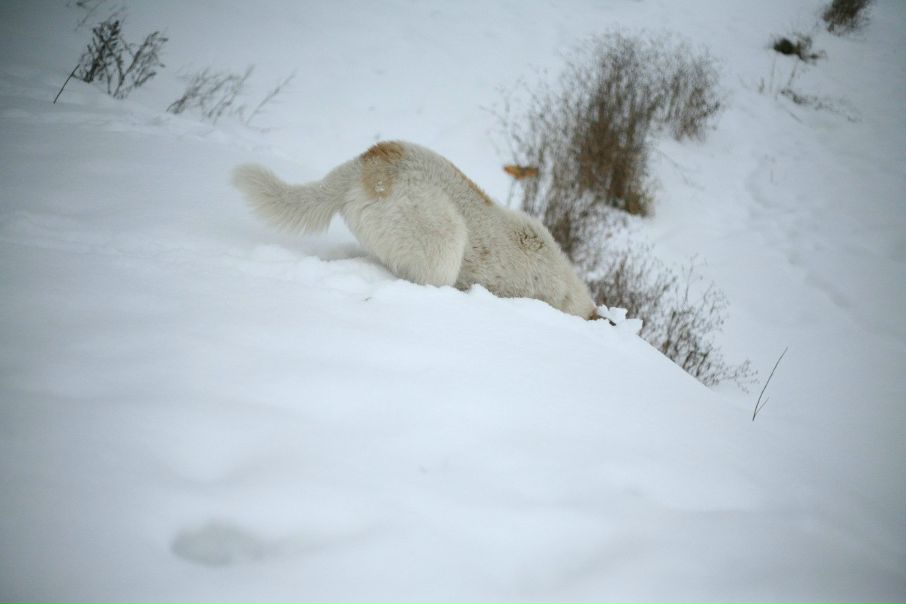 №96, Надежда Дятлова, 40 лет, Севастополь №96, Надежда Дятлова, 40 лет, Севастополь