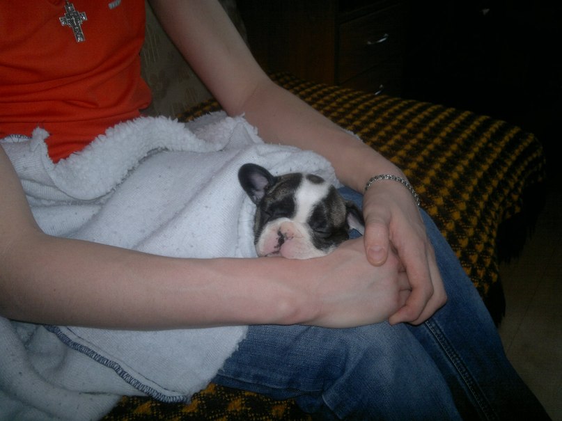 Лев Рогожников | Краснокамск