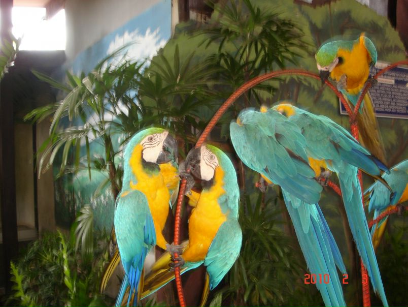 №18, Галина Иванова №18, Галина Иванова