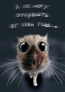 Фотография Щербинко Димы