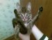 Инна Плотникова фотография #43