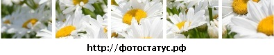 №8, Вероника Воскресенская, 23.4.1997 №8, Вероника Воскресенская, 23.4.1997