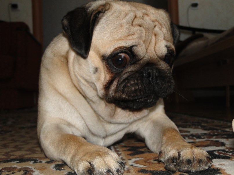 Максим Коршунов | Челябинск