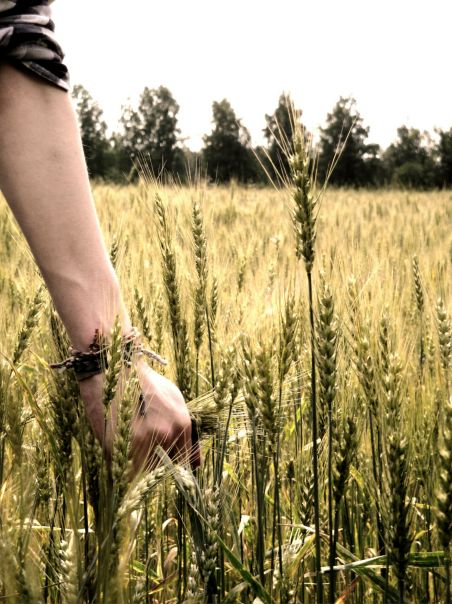 №162, Григорий Чернобай, 33 года, Москва №162, Григорий Чернобай, 33 года, Москва