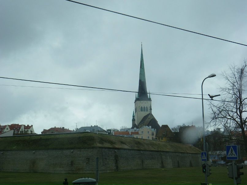 Елена Гаврилова | Санкт-Петербург