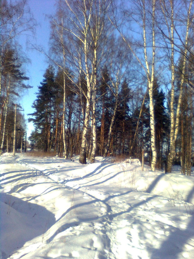 Борис Тетерин | Санкт-Петербург