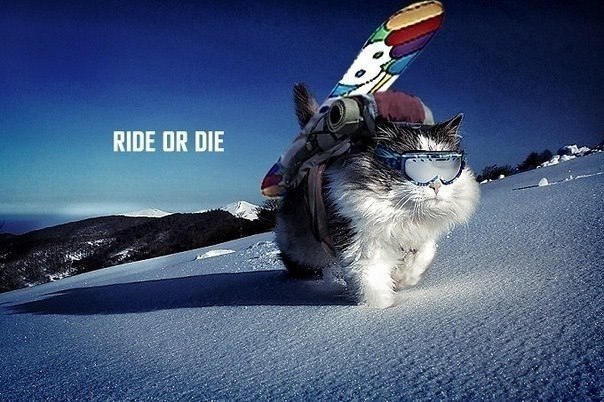 Настя Боророва | Киев