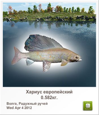 Антон Инкогнито இ ♥קƹ®Ϛ♥ईツ | Ярославль