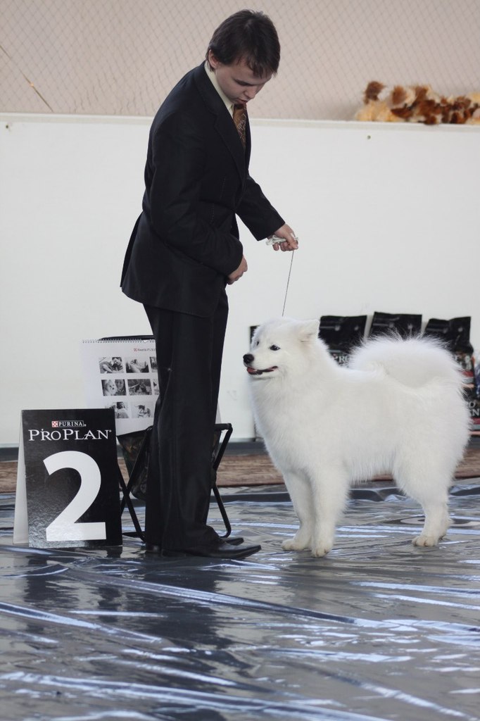 Егор Смолдырев | Иннополис