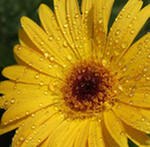 №115, Юлия Морикова, 38 лет, Миасс №115, Юлия Морикова, 38 лет, Миасс