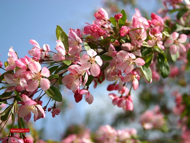 Маришка ******** | Саратов