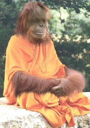 Павел Шилов | Николаев