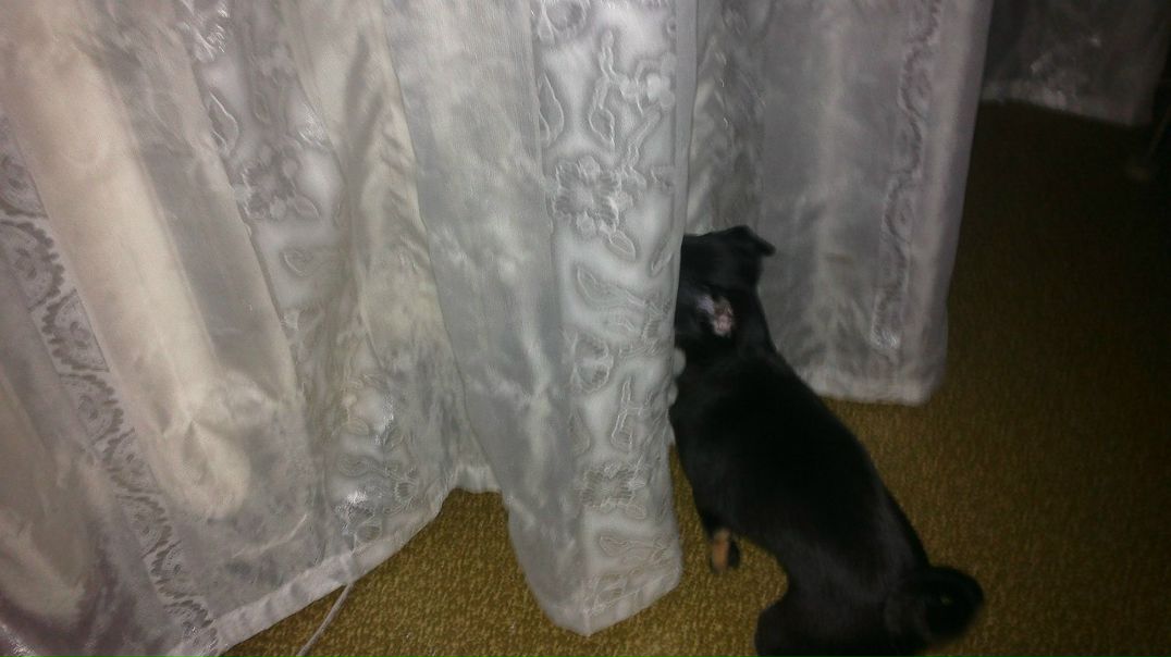 №10, Валек Ушаков, 11.6.1990, Якутск №10, Валек Ушаков, 11.6.1990, Якутск