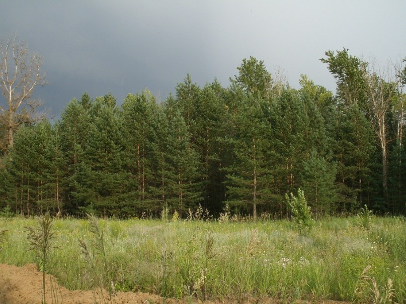 Дмитрий Фомин | Самара