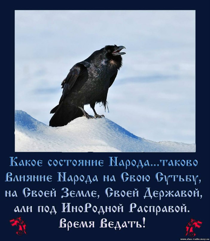 White Wolf | Москва