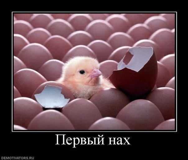 Сергей Давыдов | Королёв