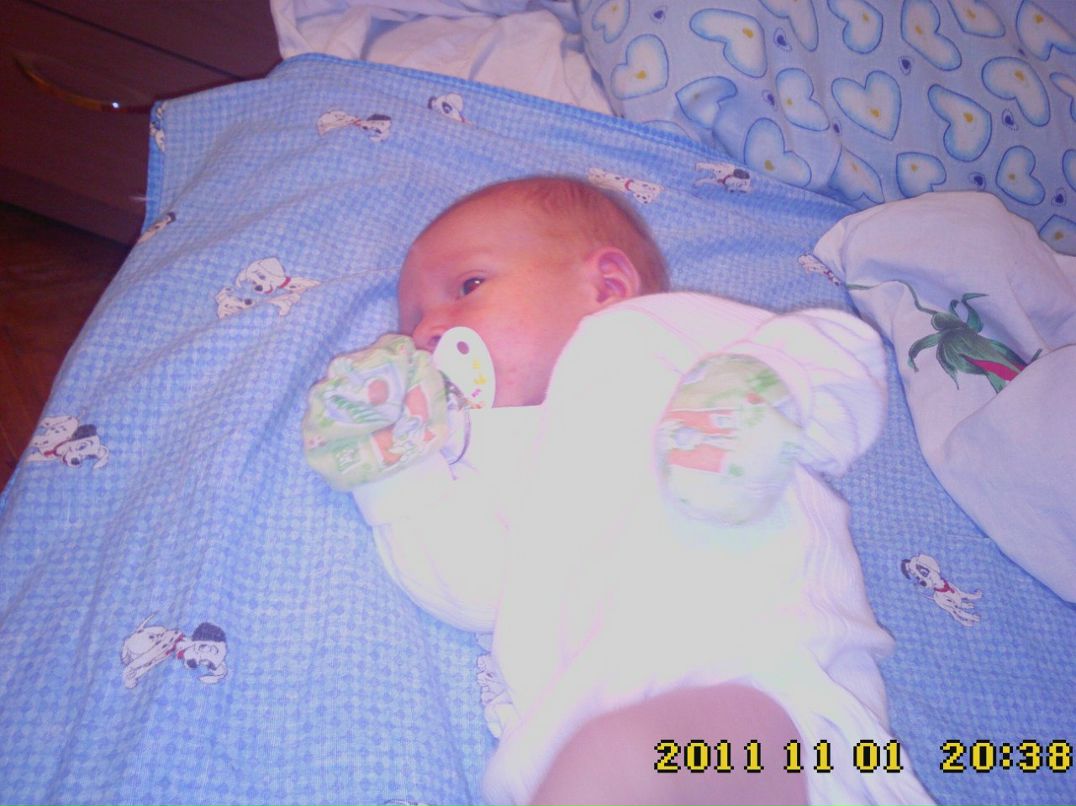 Владислав Семенов | Санкт-Петербург