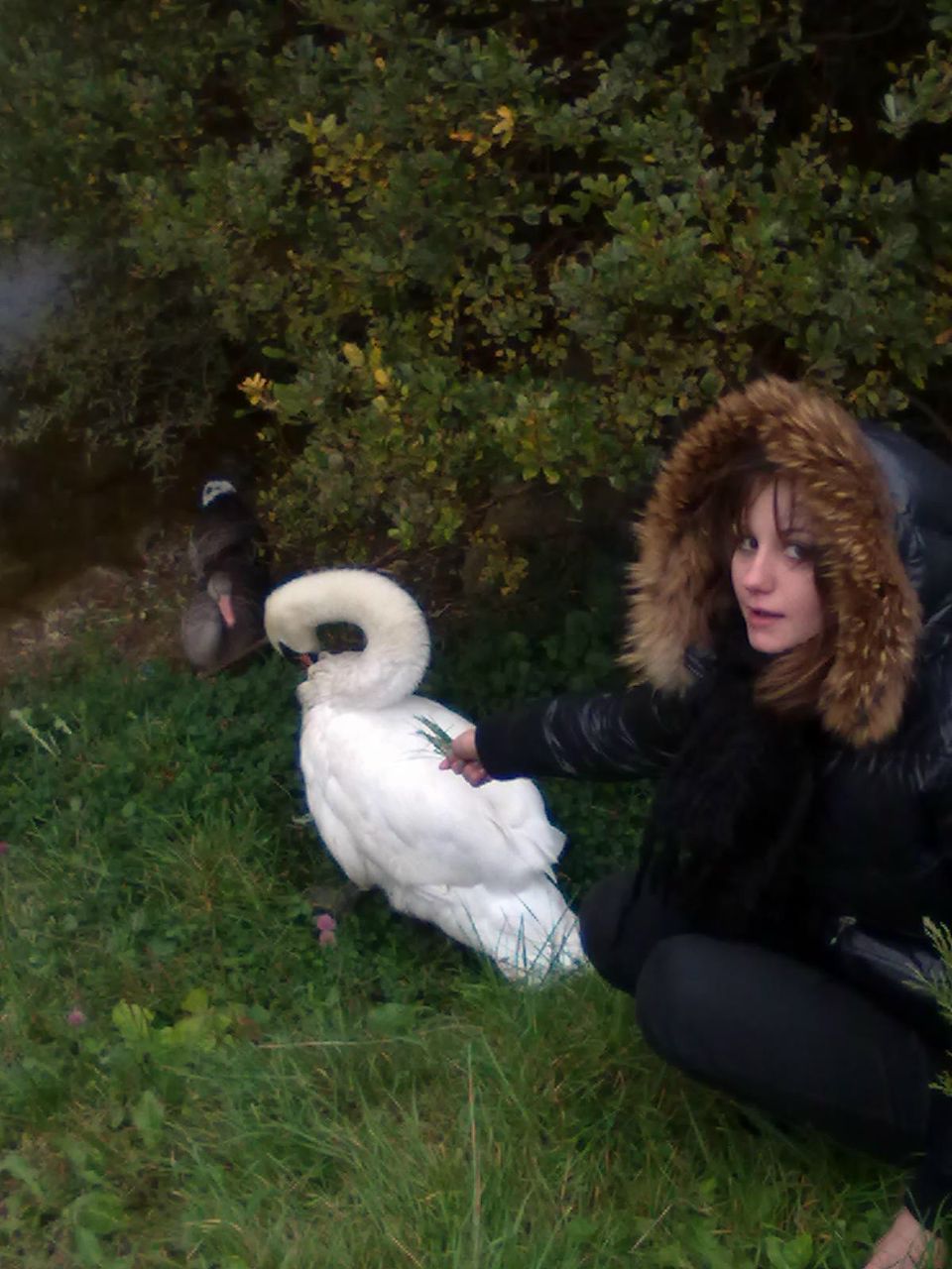 Дана Русина | Киев