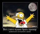 №31 Valentin Dolgin : профиль, фото, статус - ВКонтакте