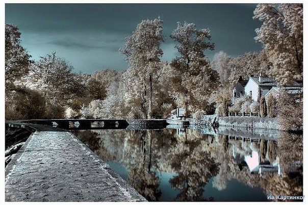 №19, Антон Завірюха, Буки №19, Антон Завірюха, Буки