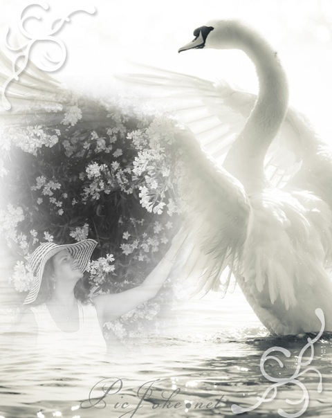 №2, Мария Анна, Москва №2, Мария Анна, Москва