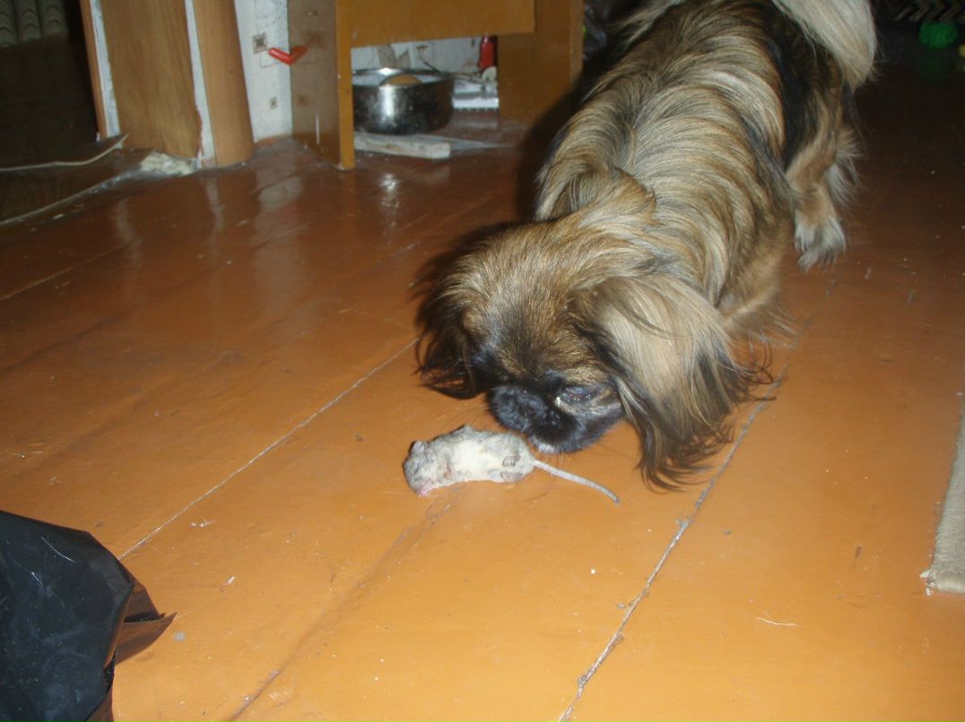 Галина Булачек | Магнитогорск