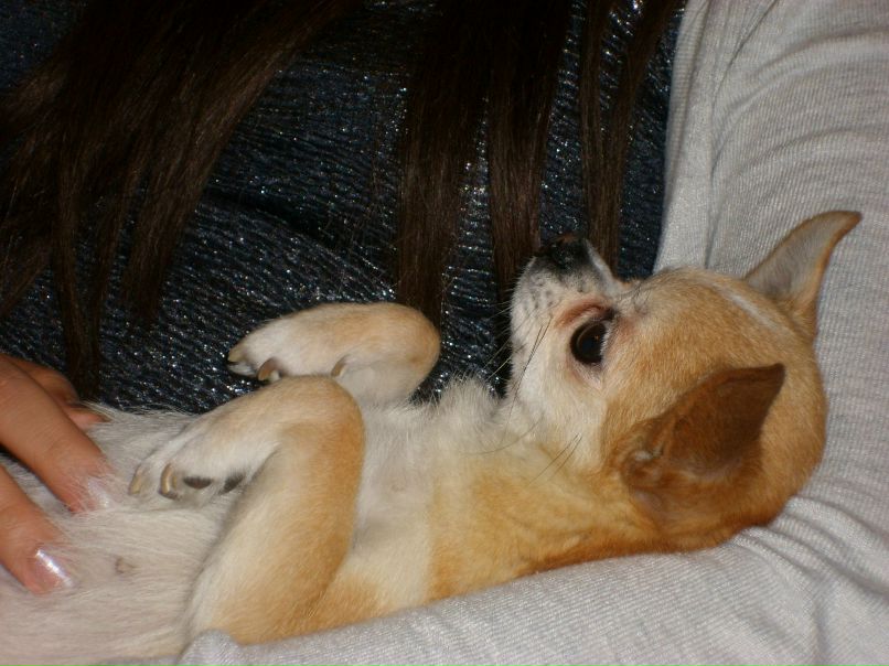 Татьяна Повилайнен | 