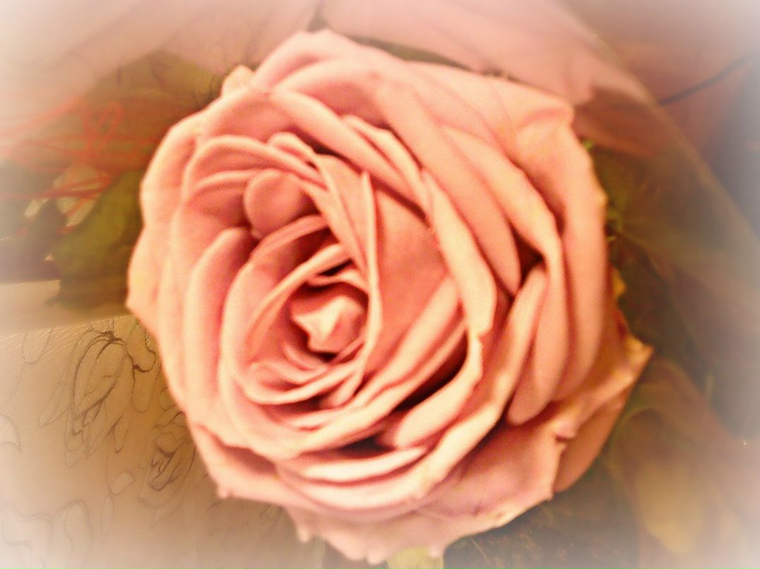 Виктория Ижевская | Одесса