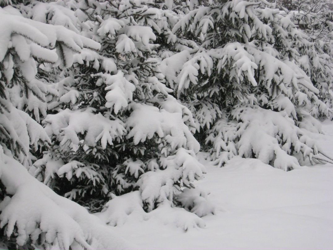 Сергій Новосад | Луцк