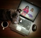 №11 Marina Votyakova 06.05: профиль, фото, статус - ВКонтакте