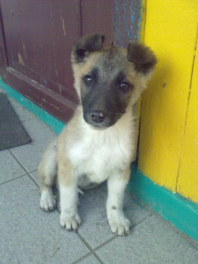 Віталік Борисюк | Белокоровичи