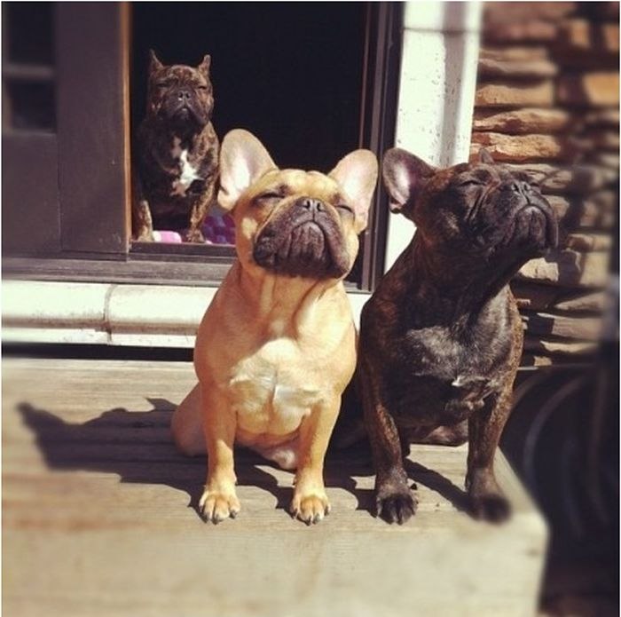 Оксана Трубаева | Москва