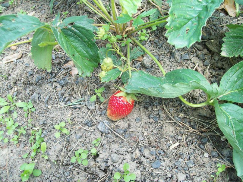 Светлана Андреева | Москва