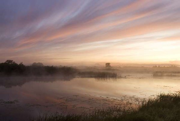 Алик Муртазаев | Тбилиси