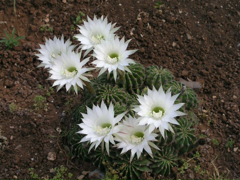 Герман Соловьев | Москва