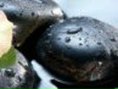 Дмитрий Шалагин | Санкт-Петербург