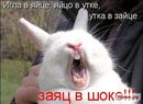 Фотография Усольцева Михаила