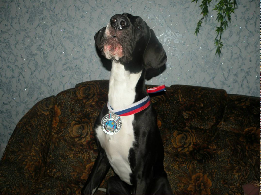 Александр Бунтин | Пенза