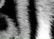 Миша Еремин | Москва