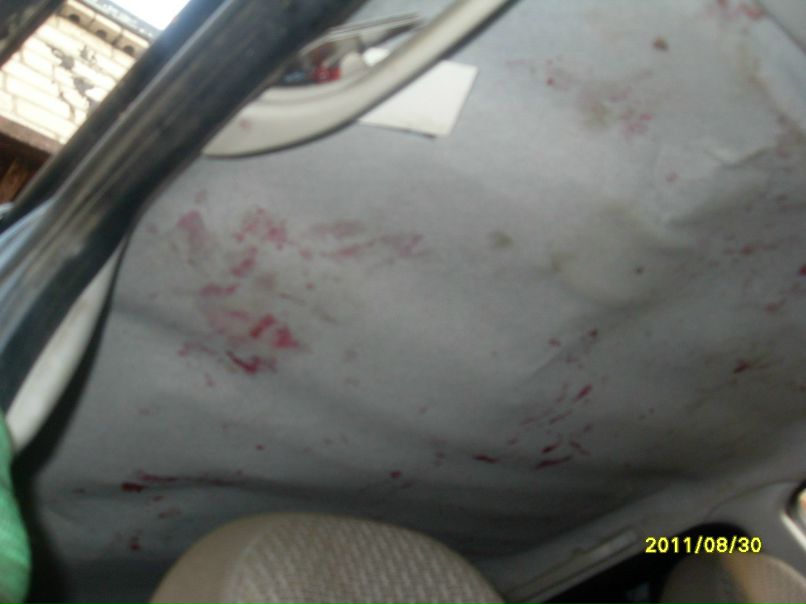 Сергей Шкамарда | Череповец