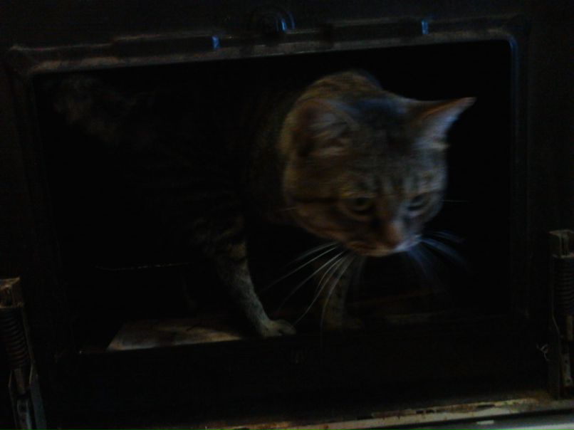 Глория Симсон | Москва